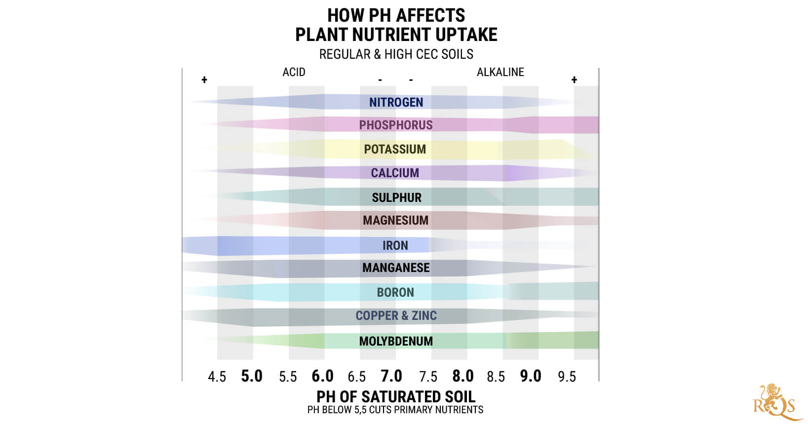 Understanding pH and How It Affects Cannabis Plants RQS Blog